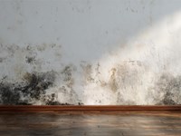 ¿Qué puede provocar no tratar una fuga a tiempo?